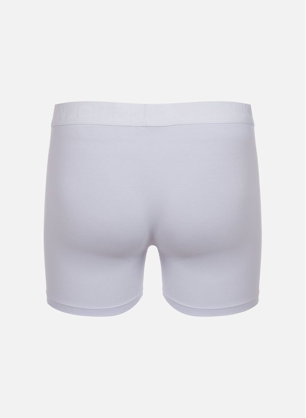 44040042_05_3-KIT-2-CUECA-BOXER-WHITE-ALG