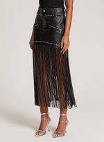 16112479_09_3-SAIA-FRINGE