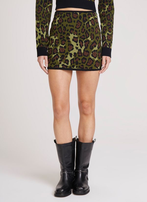 16112550_30_3-SAIA-LEOPARD