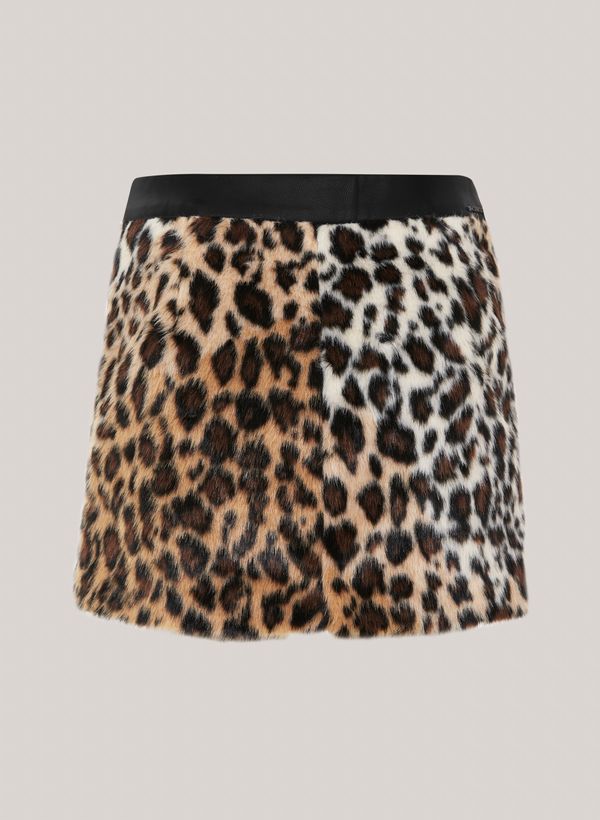 16112522_26_1-SAIA-LEOPARD