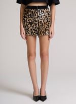16112522_26_3-SAIA-LEOPARD