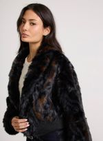 23112495_94_4-CASACO-ANTELOPE