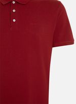 86010586_35_2-POLO-RG-NEW-SIMPLE-BASIC-VML